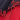 Black/Scarlet